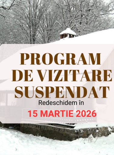 WhatsApp Image 2025-12-29 at 1.37.39 PM